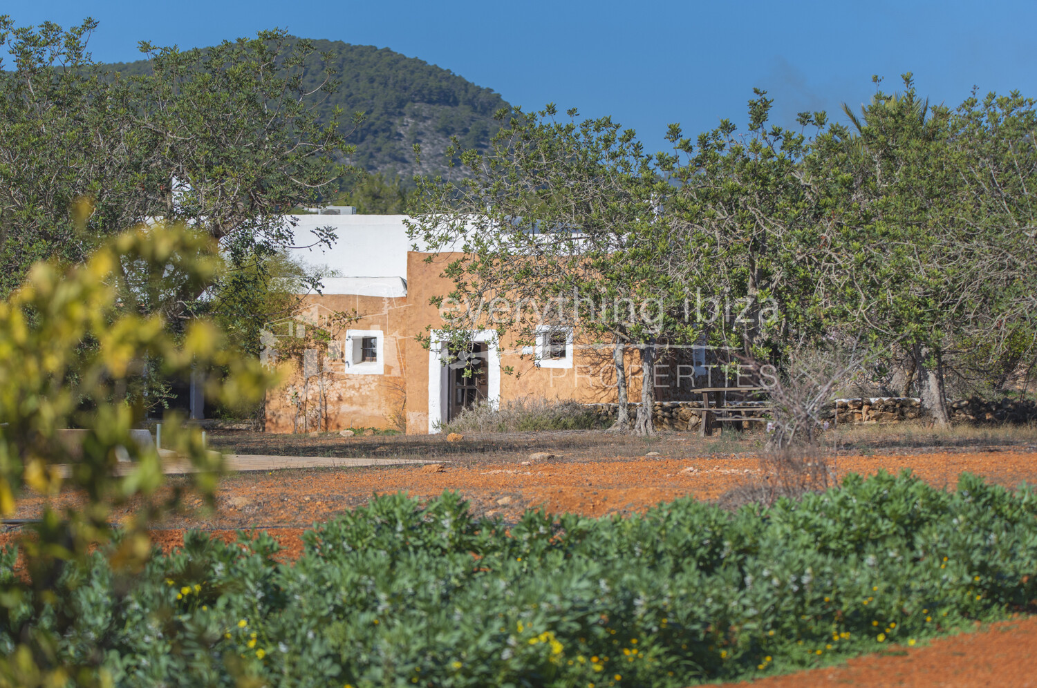 Charming Traditional Finca with Guest Cottage & Pool on a Large Rural Plot, ref. 1735, for sale in Ibiza by everything ibiza Properties