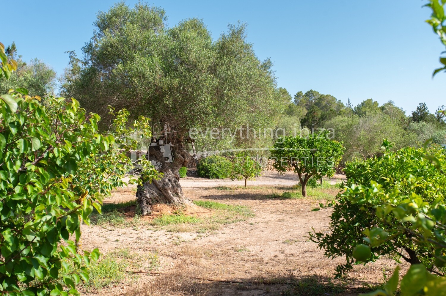 Stunning Ibiza Finca with Heated Pool in the Heart of the Benimussa Valley, ref. 1762, for sale in Ibiza by everything ibiza Properties