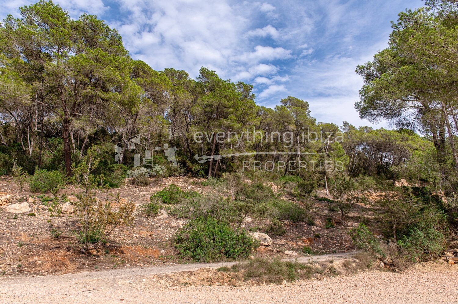 Exquisite Newly Renovated Villa with Panoramic Valley Views Close to Santa Eulalia, ref. 1764, for sale in Ibiza by everything ibiza Properties